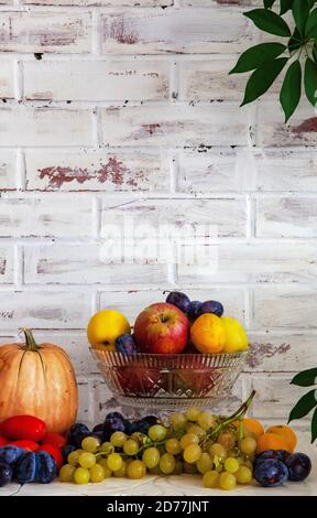 Stillleben mit Obst und Gemüse. Kürbis, Apfel, Trauben, Pflaumen Stockfoto