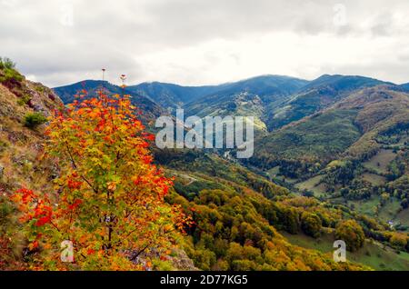 Herbstlandschaft in den Bergen. Berg Herbst Szene mit bunten Bäumen im Wald. Es gibt einige Häuser und Hütten auf der Wiese Stockfoto