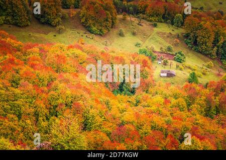 Herbstlandschaft in den Bergen. Berg Herbst Szene mit bunten Bäumen im Wald. Es gibt einige Häuser und Hütten auf der Wiese Stockfoto