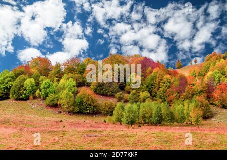 Herbstlandschaft in den Bergen. Berg Herbst Szene mit bunten Bäumen im Wald Stockfoto