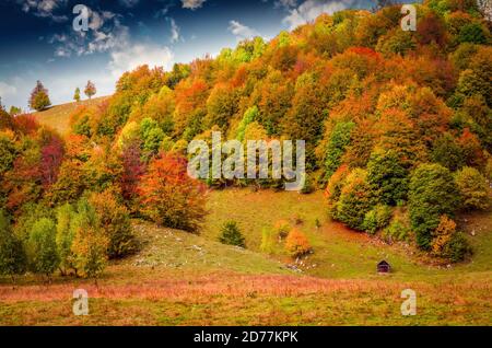 Herbstlandschaft in den Bergen. Berg Herbst Szene mit bunten Bäumen im Wald. Es gibt einige Häuser und Hütten auf der Wiese Stockfoto