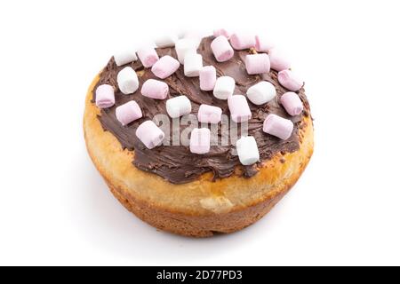 Hausgemachte glasierte und verzierte Schokolade osterkuchen isoliert auf weißem Hintergrund. Seitenansicht, Nahaufnahme. Stockfoto