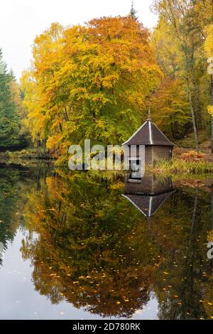 Herbstfarben auf Waldbelaub und Holzboathouse am Loch Dunmore in Faskally Wood bei Pitlochry in Perthshire, Schottland, UK Stockfoto