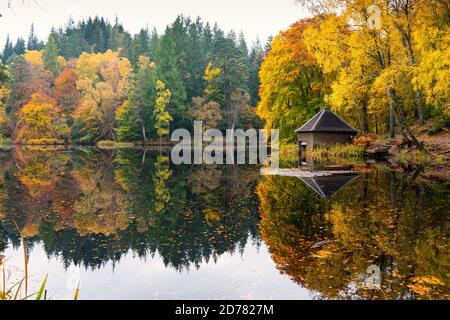 Herbstfarben auf Waldbelaub und Holzboathouse am Loch Dunmore in Faskally Wood bei Pitlochry in Perthshire, Schottland, UK Stockfoto