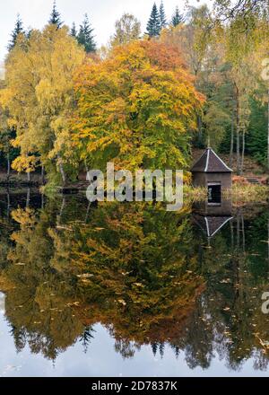 Herbstfarben auf Waldbelaub und Holzboathouse am Loch Dunmore in Faskally Wood bei Pitlochry in Perthshire, Schottland, UK Stockfoto