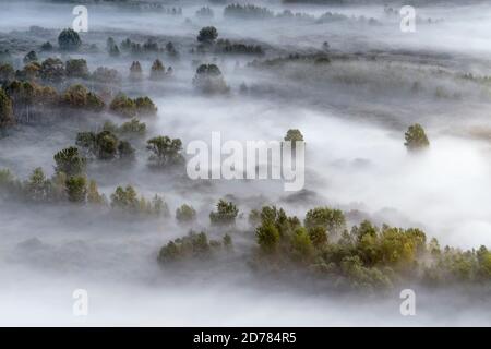 In die wilde, herbstliche Landschaft mit Nebel Stockfoto