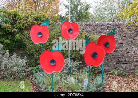 Ausstellung von großen Erinnerungsmohn in einem Blumenbeet im Erholungsgebiet Kingsbridge, Devon Stockfoto