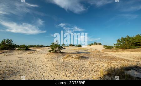 Treibdünen an der Ostsee bei Leba, Polen Stockfoto