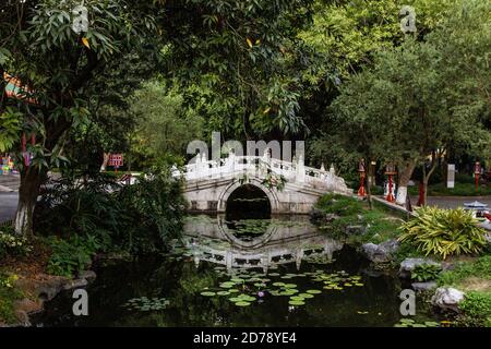 Vogel fliegt unter Brücke in Tiger Gardens in China Stockfoto