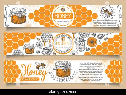 Biene natürlichen Honig Vektor Hand gezeichnet horizontalen Banner-Set Stock Vektor
