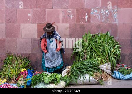 24. Februar 2020: Frau in traditioneller Kleidung und Verkauf von Blütenblättern und Gemüse auf der Straße. Potos’, Bolivien Stockfoto