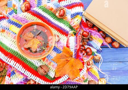 Komposition mit der keramischen Tasse Kräutertee und Herbstblättern auf kariertem hell-warm gestreiftem Karomuschel im Herbstgarten. Altes Buch und Rosskastanien o Stockfoto