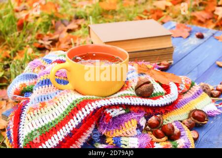 Komposition mit Keramik gelbe Tasse Kräutertee und Herbstblätter auf karierten hell warm gestreiften karierten Karomuschel im Herbstgarten. Alte Bücher und Rosskastanie Stockfoto