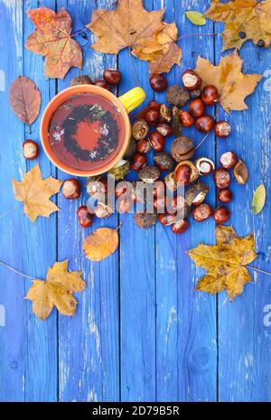 Gelb Keramik Tasse Kräutertee am alten Holz- Hintergrund mit Herbst Herbst Blätter und Kastanien. Stockfoto