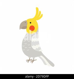 Ausgewachsener Papagei von normalem grauem Kakadus. Nymphicus hollandicus, corella. Vogeldesign im Cartoon-Stil. Vektorgrafik Stock Vektor