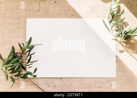 Leere Papierkarte mit Olivenzweigen. Platz für Text kopieren, flach liegend, Draufsicht Stockfoto