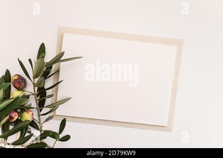 Leere Papierkarte mit Olivenzweig. Platz für Text kopieren, flach liegend, Draufsicht Stockfoto