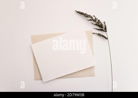 Leere Papierkarte mit trockener Blume. Platz für Text kopieren, flach liegend, Draufsicht Stockfoto