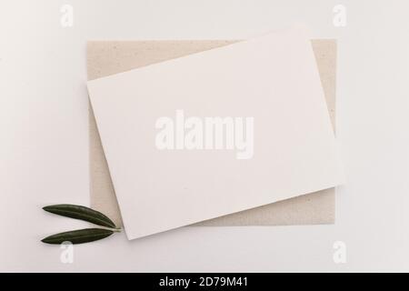 Leere Papierkarte mit Olivenblättern. Platz für Text kopieren, flach liegend, Draufsicht Stockfoto