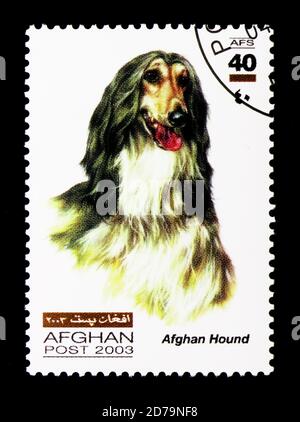 MOSKAU, RUSSLAND - 21. DEZEMBER 2017: Eine in Afghanistan gedruckte Marke zeigt afghanischen Hund (Canis lupus familiaris), Hunde Serie, um 2003 Stockfoto