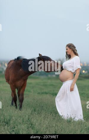 Ein schwangeres Mädchen in Weiß kommuniziert mit einem Pferd auf einer grünen Wiese. Therapie und Entspannung für schwangere Frauen. Stockfoto