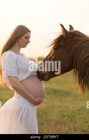 Ein schwangeres Mädchen in Weiß kommuniziert mit einem Pferd auf einer grünen Wiese bei Sonnenuntergang. Therapie und Entspannung für schwangere Frauen. Antistress-Therapie. Stockfoto