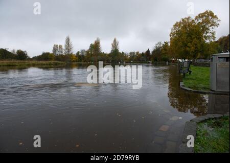 Callander, Schottland, Großbritannien. 21. Oktober 2020. Im Bild: Ein schnell fließender und überfluteter Fluss Teith, der durch die malerische Stadt Callander im Zentrum Schottlands fließt. Quelle: Colin Fisher/Alamy Live News. Stockfoto