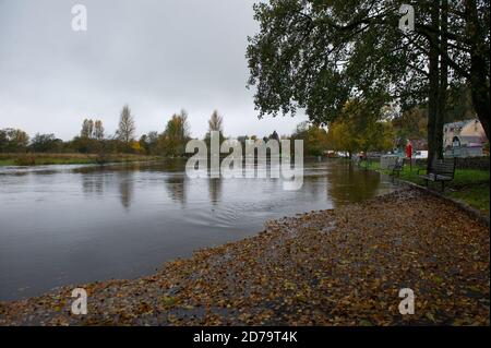 Callander, Schottland, Großbritannien. Oktober 2020. Im Bild: Ein schnell fließender und überfluteter Fluss Teith, der durch die malerische Stadt Callander im Zentrum Schottlands fließt. Quelle: Colin Fisher/Alamy Live News Stockfoto