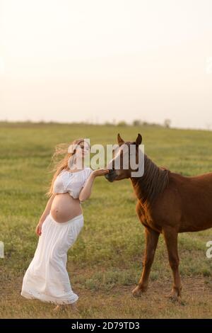 Ein schwangeres Mädchen in Weiß kommuniziert mit einem Pferd auf einer grünen Wiese bei Sonnenuntergang. Therapie und Entspannung für schwangere Frauen. Antistress-Therapie. Stockfoto