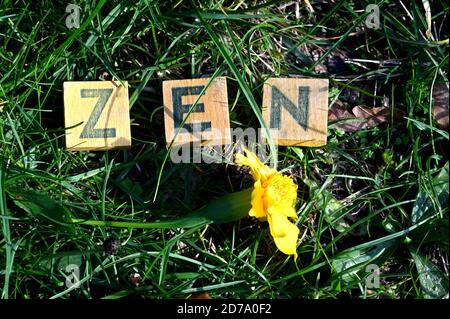 Holzbuchstaben aus einem alten Spiel Stockfoto