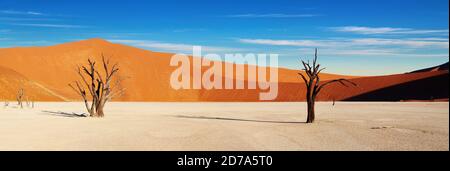 Toter Baum in Dead Vlei, Sossusvlei, Namib Desert, Namibia Stockfoto