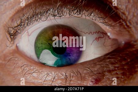 Auge im Makro Stockfoto