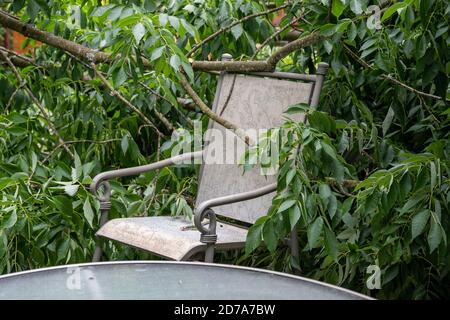 Nahaufnahme des großen Zweiges auf dem Stuhl, wo ein gefallener Baum Bedeckt Terrasse des Hauses Hinterhof Stockfoto