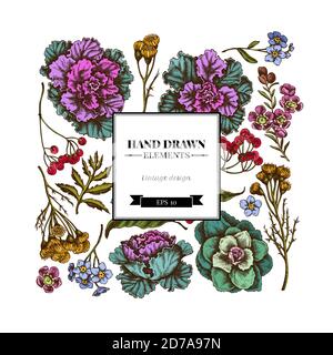 Quadratisches florales Design mit farbigen Wachsblumen, Vergiss mich nicht Blume, Tansy, ardisia, brassica, dekorativen Kohl Stock Vektor