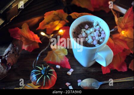 Nahaufnahme, Draufsicht auf heiße Schokolade mit Mini-Marshmallows zwischen Herbstblättern und Kürbissen. Stockfoto