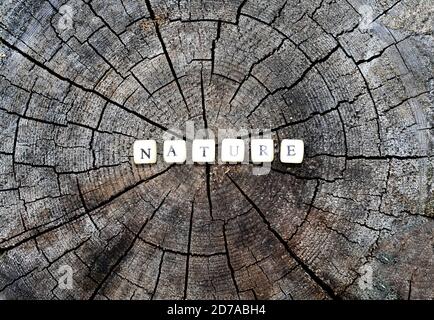 Wort Natur der Holz- alphabet Perlen auf einem Baumstumpf im Wald. Stockfoto