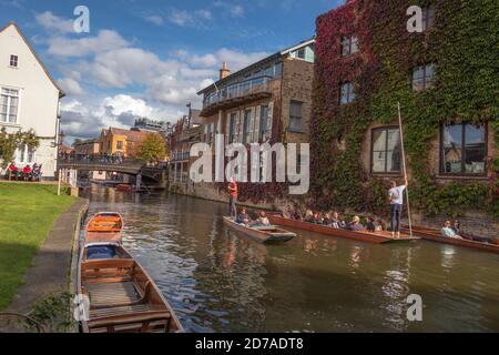 Punt am River Cam in der Nähe von St. Johns College und Magdalene Bridge Cambridge England Stockfoto