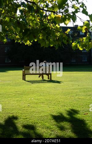 Rückansicht eines Mannes, der auf einer Bank sitzt Lesung in den Gärten des Emmanuel College Cambridge Stockfoto