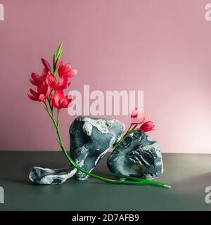 Vorlage, Mock-up, Podium für Naturprodukte und SPA-Accessoires. Kreative trendige Komposition aus schwarzen und weißen flintstones und roten Blumen auf einem pi Stockfoto