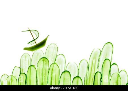 Frisch geschnittene Gurke isoliert auf weißem Hintergrund. Draufsicht. Stockfoto