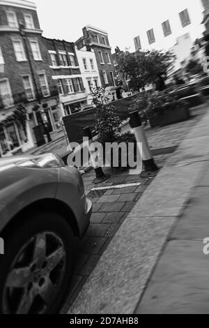 London/UK - 18 Oct 2020: Geneigte Schwarz-Weiß-Monochrom-Ansicht von Poller und Baum in der Londoner Straßenszene. Stockfoto