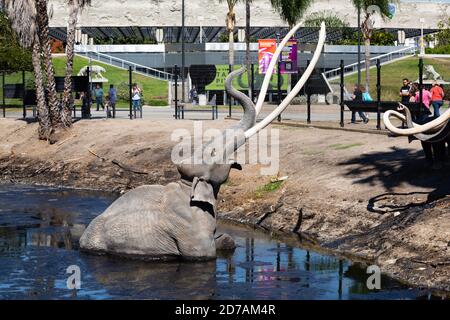 La Brea Tar Pits, Touristenattraktion, Los Angeles, Kalifornien, Vereinigte Staaten von Amerika, USA Stockfoto