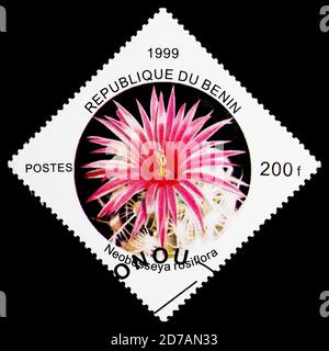 MOSKAU, RUSSLAND - 26. NOVEMBER 2017: Eine in Benin gedruckte Briefmarke zeigt Neobesseya rosiflora, Kakteen-Serie, um 1999 Stockfoto