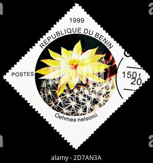 MOSKAU, RUSSLAND - 26. NOVEMBER 2017: Eine in Benin gedruckte Briefmarke zeigt Oelmea nelsonii, Kakteen-Serie, um 1999 Stockfoto