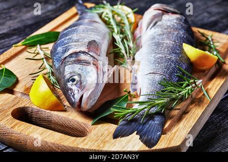 Seabass frischer roher Fisch auf einem Schneidebrett mit frischem Rosmarin, Zitronenkeilen und Lorbeerblatt auf einem Schneidebrett auf einer dunklen Holzba entkaltet und entkalkt Stockfoto