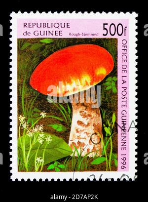 MOSKAU, RUSSLAND - 26. NOVEMBER 2017: Eine in Guinea gedruckte Briefmarke zeigt eine Serie von Mischrooms, um 1996 Stockfoto