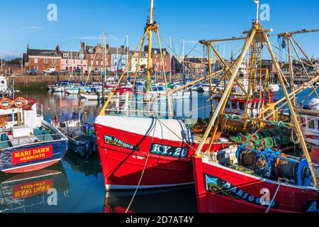 Fischerboote und kleine Boote und Yachten im Hafen von Arbroath, Angus, Schottland, Großbritannien gebunden Stockfoto