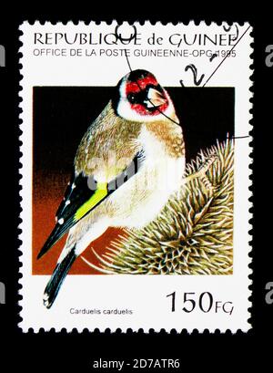 MOSKAU, RUSSLAND - 26. NOVEMBER 2017: Eine in Guinea gedruckte Briefmarke zeigt europäischen Goldfink (Carduelis carduelis), Birds Serie, um 1995 Stockfoto