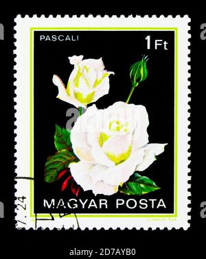 MOSKAU, RUSSLAND - 26. NOVEMBER 2017: Eine in Ungarn gedruckte Briefmarke zeigt Pascali, Roses Serie, um 1982 Stockfoto