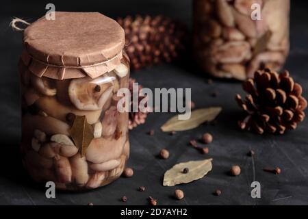 Marinierter Pilz. Suillus aus der Dose im Glas. Natürliche Bio-Gourmet-Vorspeise mit Knoblauch, Pfeffer, Lorbeerblatt und Nelken. Dunkle Stimmung Nahaufnahme Stockfoto